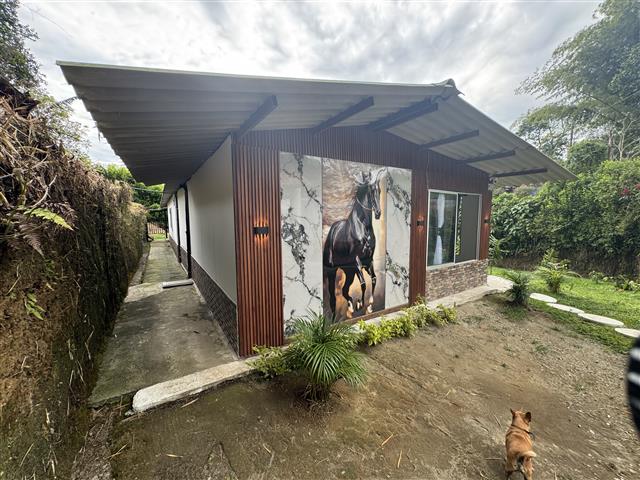 ecohotelgaia1 Alquiler Fincas Quindio Hoteles Eje Cafetero Planes Transporte Single story house with a slanted metal roof and wood siding featuring a large horse mural on the front wall a small brown dog stands in the dirt yard in the foreground
