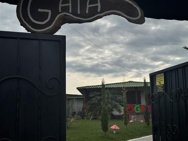 ecohotelgaia10 Alquiler Fincas Quindio Hoteles Eje Cafetero Planes Transporte Open metal gates framing a sign that reads GAIA revealing a grassy garden with small trees and colorful letters in the distance
