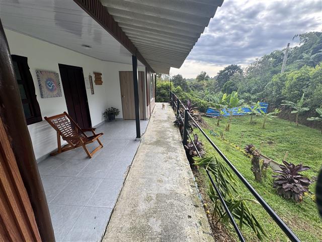ecohotelgaia2 Alquiler Fincas Quindio Hoteles Eje Cafetero Planes Transporte Covered walkway along a white building with a wooden chair on gray tiles overlooking a green garden