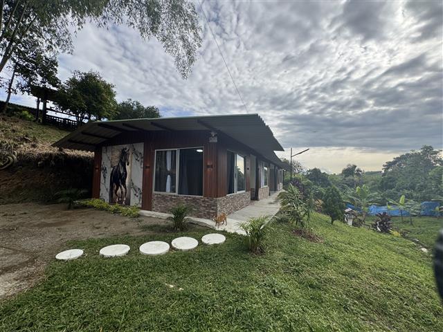 ecohotelgaia4 Alquiler Fincas Quindio Hoteles Eje Cafetero Planes Transporte A single story house with a mural on the side built on a grassy slope under a cloudy sky stepping stones lead to the entrance
