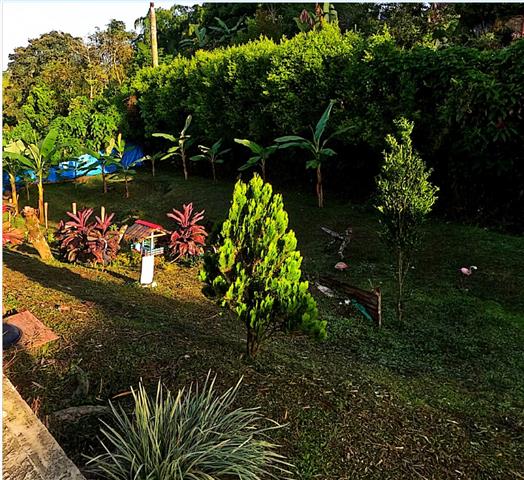 ecohotelgaia9 Alquiler Fincas Quindio Hoteles Eje Cafetero Planes Transporte