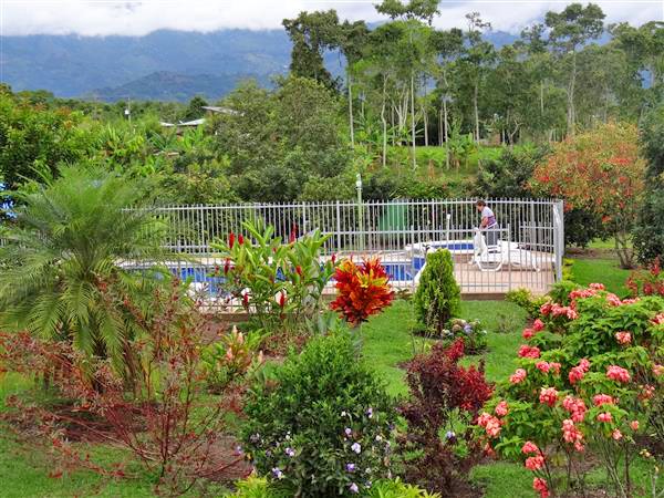 villaangelica14 Alquiler Fincas Quindio Hoteles Eje Cafetero Planes Transporte plantas Finca Villa Angelica