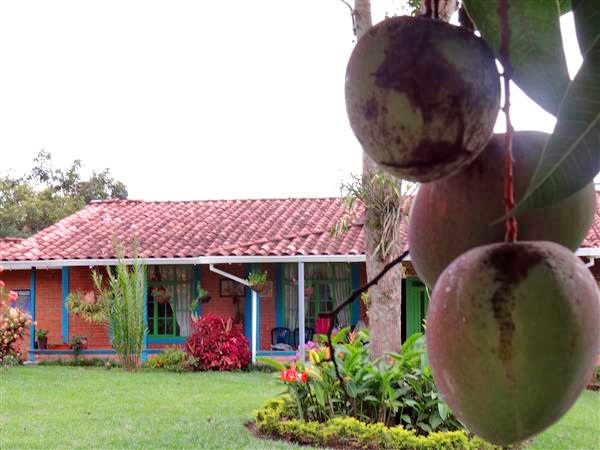 villaangelica15 Alquiler Fincas Quindio Hoteles Eje Cafetero Planes Transporte cabañas