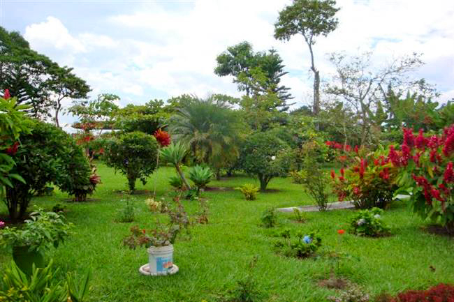 villaangelica5 Alquiler Fincas Quindio Hoteles Eje Cafetero Planes Transporte zona de planta