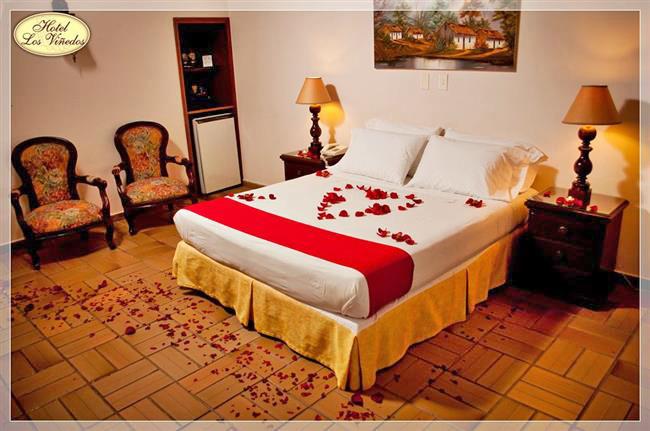 habitacion para planes romanticos Hotel los Viñedos