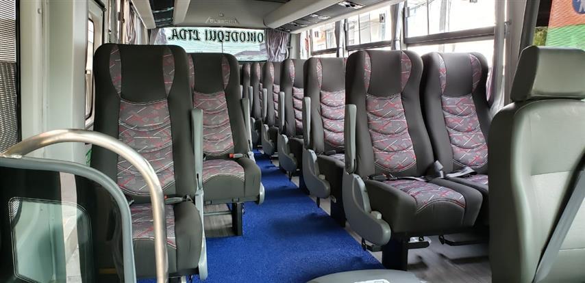 interior buses Servicio de Transporte Quindio